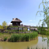 Mali Dunav